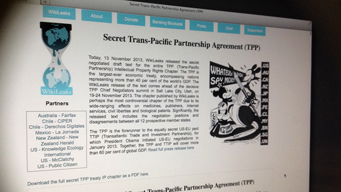 A screenshot from wikileaks.org