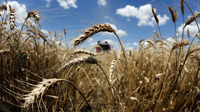 Reuters/Bogdan Cristel