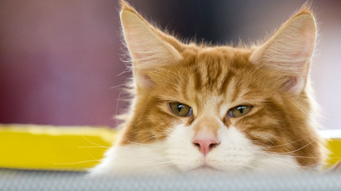 RIA Novosti/Alexander Vilf