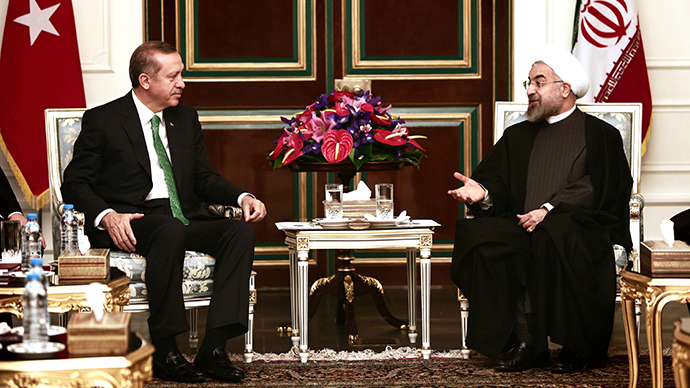 Iranian President Hassan Rouhani (R) meets with Turkish Prime Minister Recep Tayyip Erdogan (L) at Tehran's Saadabad palace on January 29, 2014. (AFP Photo / Behrouz Mehri)