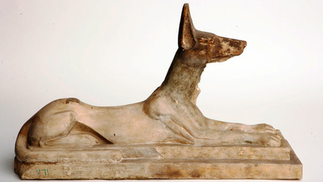 Egipto: Desentierran 8 millones de perros momificados en una fosa común