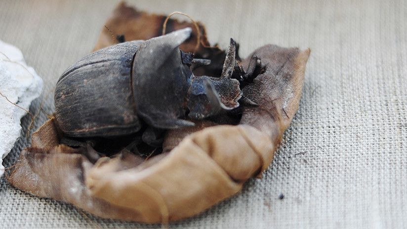 Puerta secreta y momias nunca vistas: Hallazgo sin precedentes en una necrópolis de Egipto (FOTOS)