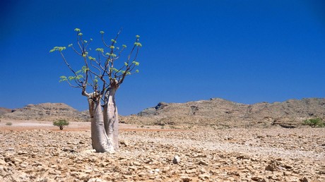 Weltbank-Bericht: Millionen droht Umsiedeln wegen Klimawandels (Symbolbild)
