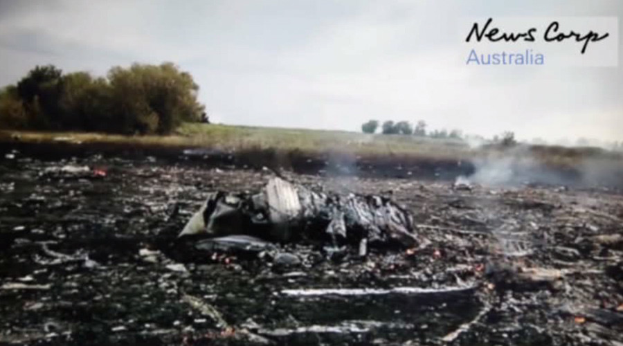 'Was there a 2nd plane?' New footage shows MH17 crash site minutes after Boeing downing