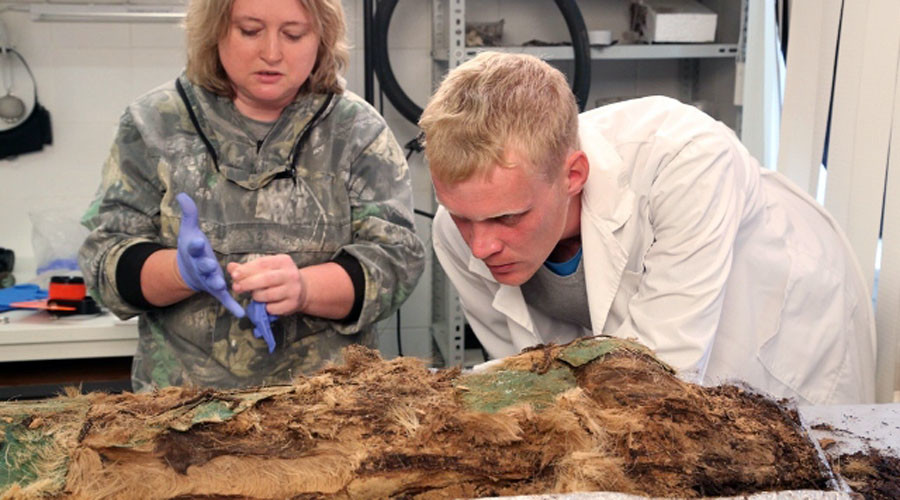 Child mummy wrapped-in-fur & with ax unearthed in Russia’s Far North