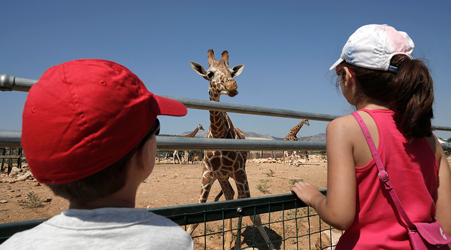 Greek capital controls puts Athens zoo animals at risk of starvation