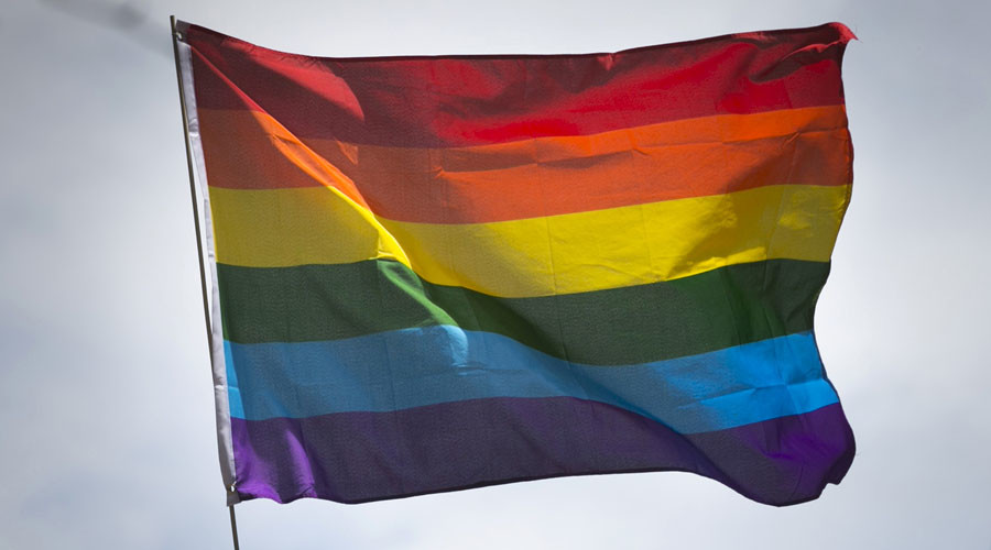 Opposing gay marriage could be considered ‘hate speech’ under new laws – MP