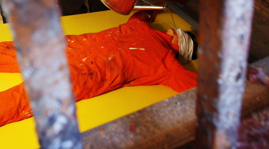 Ex-CIA executive director admits waterboarding is ‘torture’