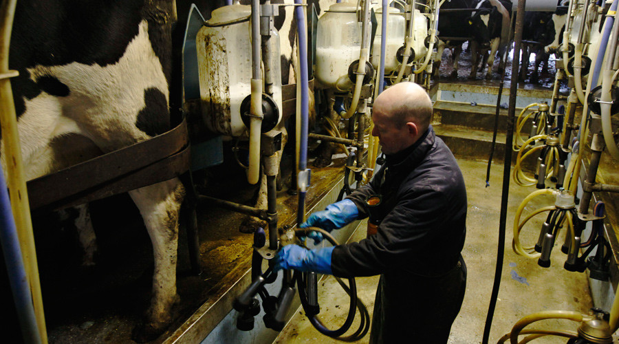 UK dairy farmers protest against low milk prices
