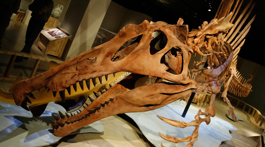 Wiping out species may boost evolution – study