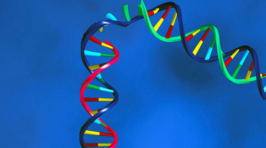 Scientists call for urgent debate on ‘designer babies’ as GM technology advances
