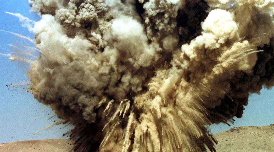 X-plant: 'Mutant' digests TNT & could be key to contaminated land clean-up, study finds
