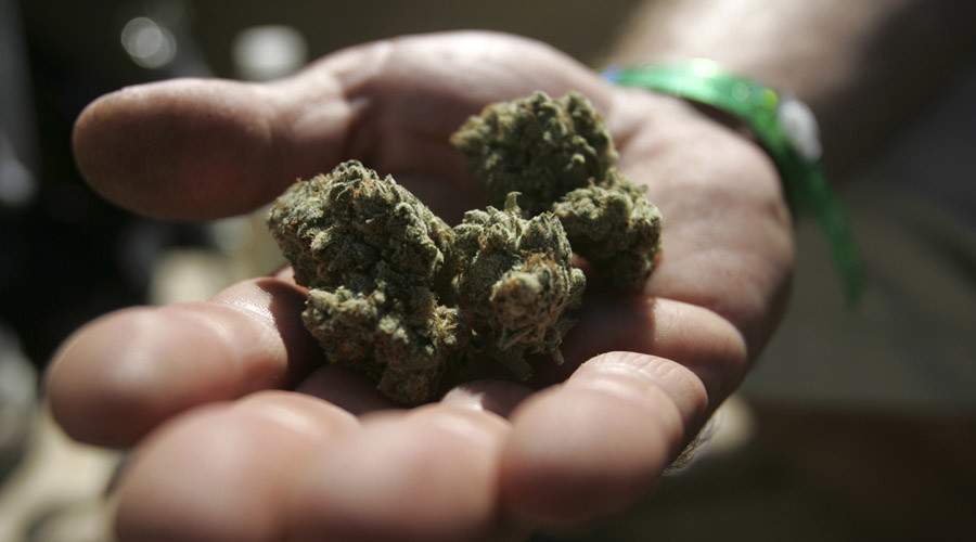 Blowing smoke? MPs to debate legalizing cannabis in UK, activists skeptical govt will act