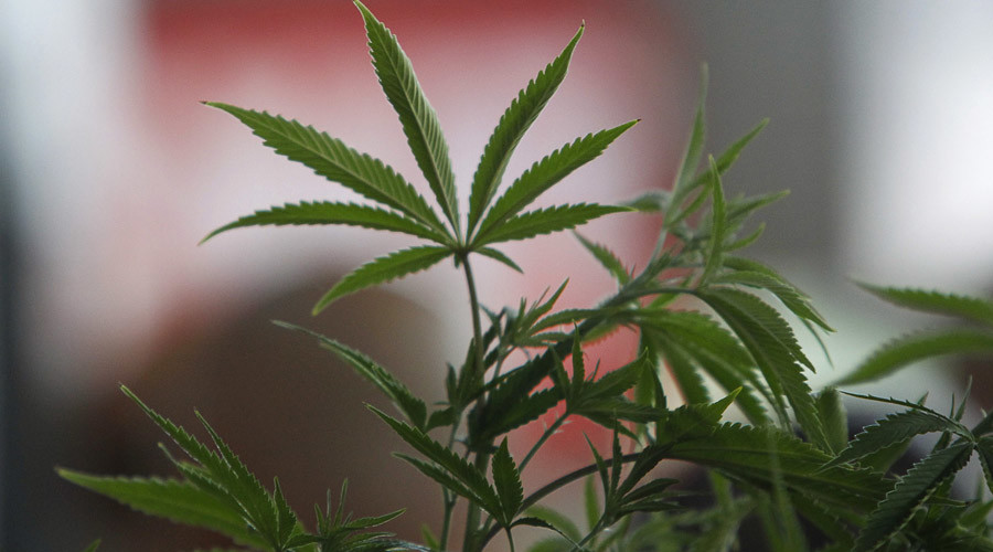 Colorado will have tax-free pot for one day thanks to unusual law