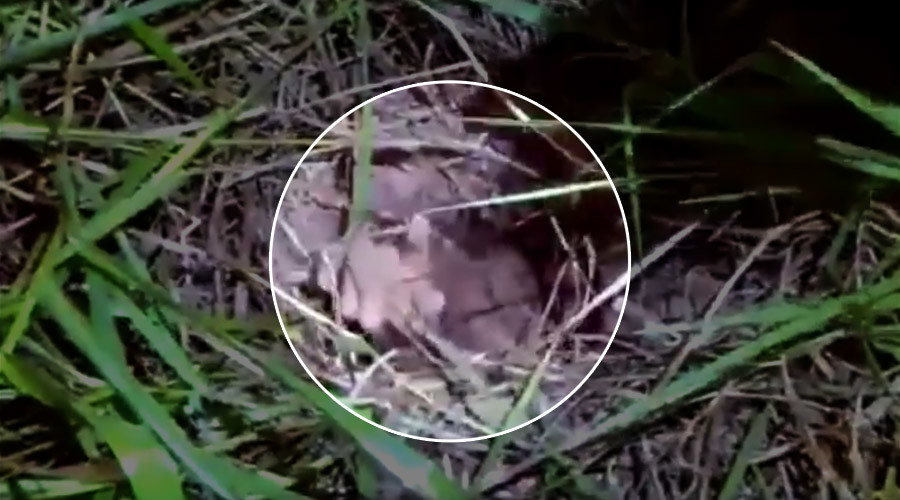 No Shawshank Redemption: Prisoner gets stuck in tunnel fleeing Brazilian jail (VIDEO)