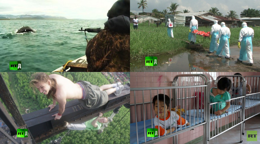 Chukotka hunt to Agent Orange: Top 10 most horrific & emotional stories by RT Documentary