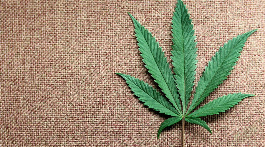High flyer: Marijuana worth $10,000 falls from sky, nearly kills dog