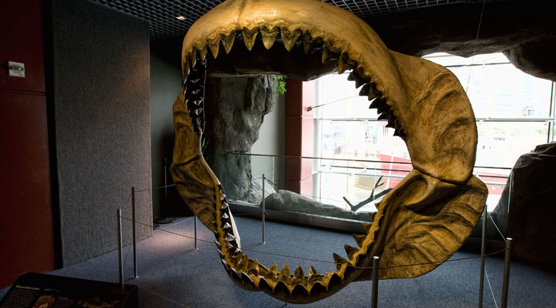 Enormous teeth of ancient 60ft megalodon shark found on NC beaches — RT