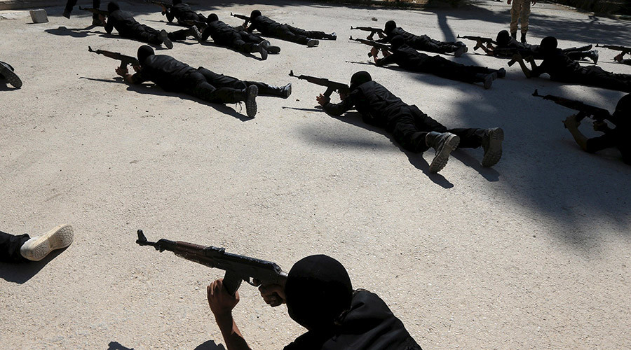 US senator says Washington’s $500 million Syrian training program aided terrorists – report
