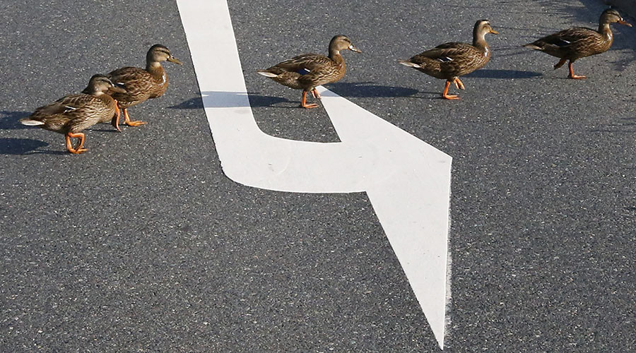 BRICS bank gets its ducks in a row