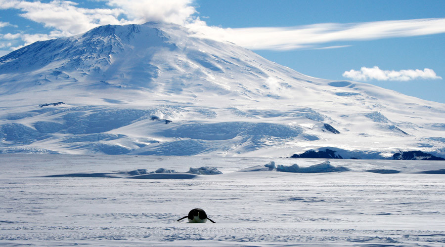Antarctica gaining more ice than losing – NASA