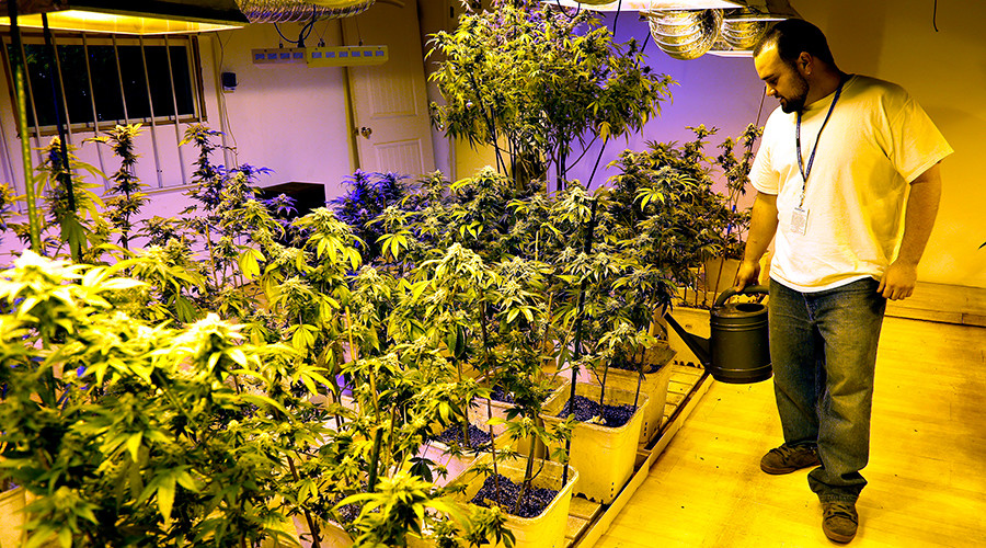 Ohio voters reject marijuana legalization
