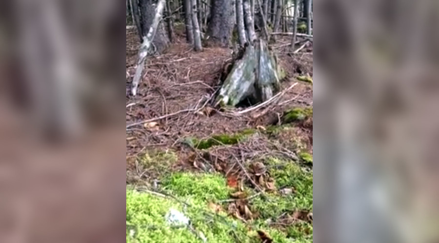 Mother Earth is breathing heavily! Forest ground moves in Canada (VIDEO)