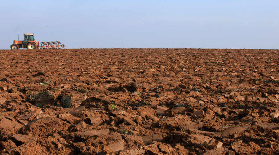 ‘Catastrophic’: World has lost 33% of arable land in 40yrs, study says