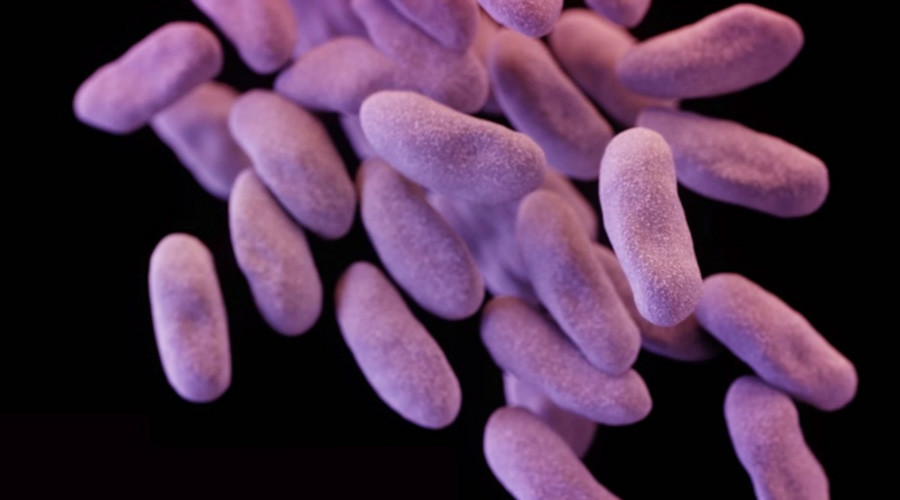 'Phantom menace' superbug is becoming more common in the US – CDC