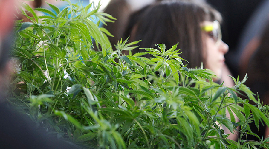 Canada to be first G7 country to legalize weed - Gov-General