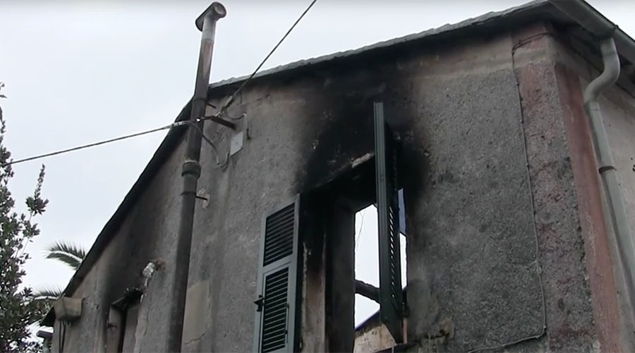 PAW-some! Heroic cats save elderly woman from burning building