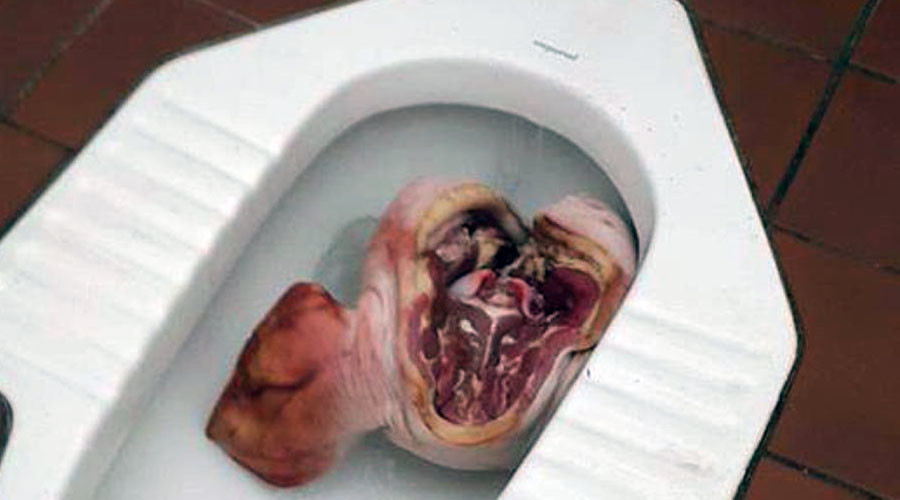 Pig head found in Muslim prayer room toilet at Australian university