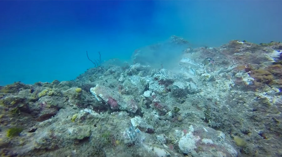 Cruise ship anchor grinds through Cayman Island reef (VIDEO)