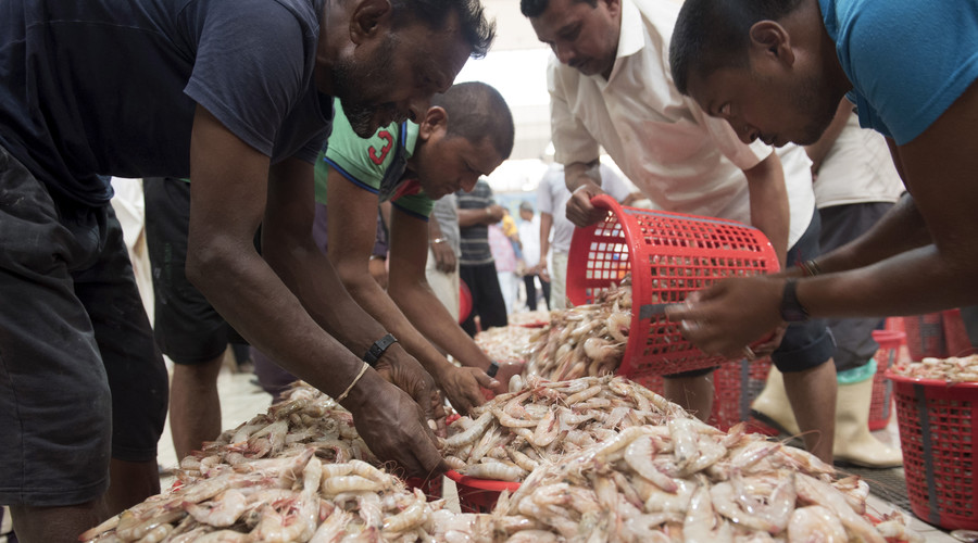 Wal-Mart, Red Lobster, Whole Foods and other retailers sell slave-peeled shrimp – report