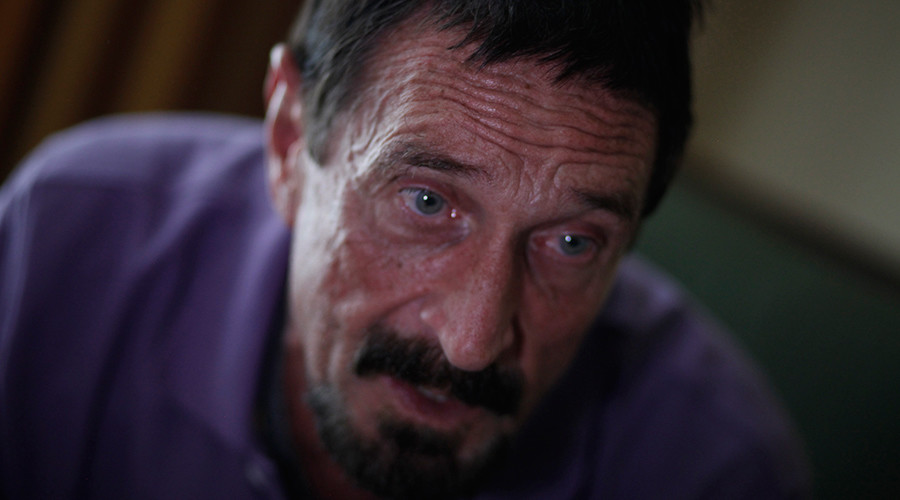 ‘More devastating than any nuclear war’: John McAfee on the coming cyber war with ISIS