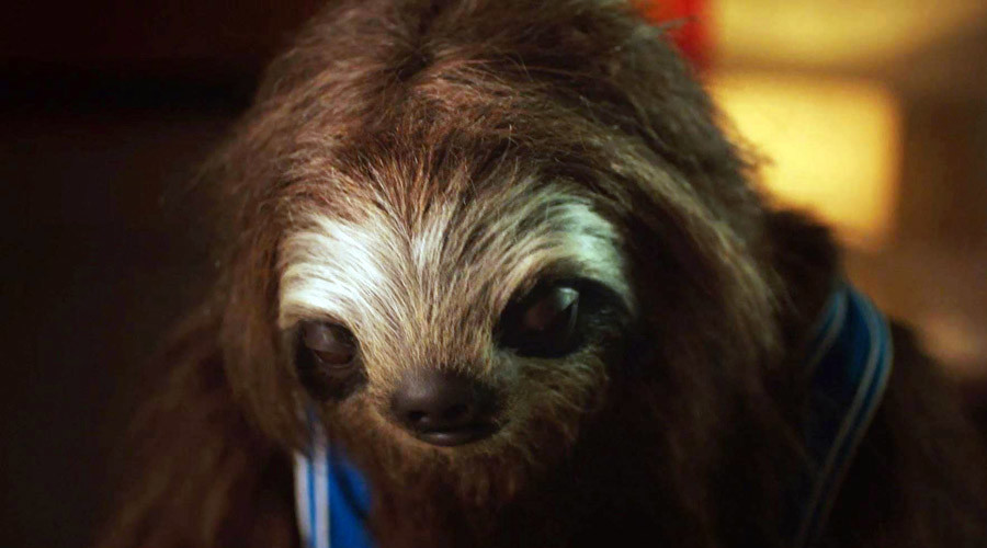 Aussie ‘stoner sloth’ anti-drug ad goes viral - for the wrong reasons