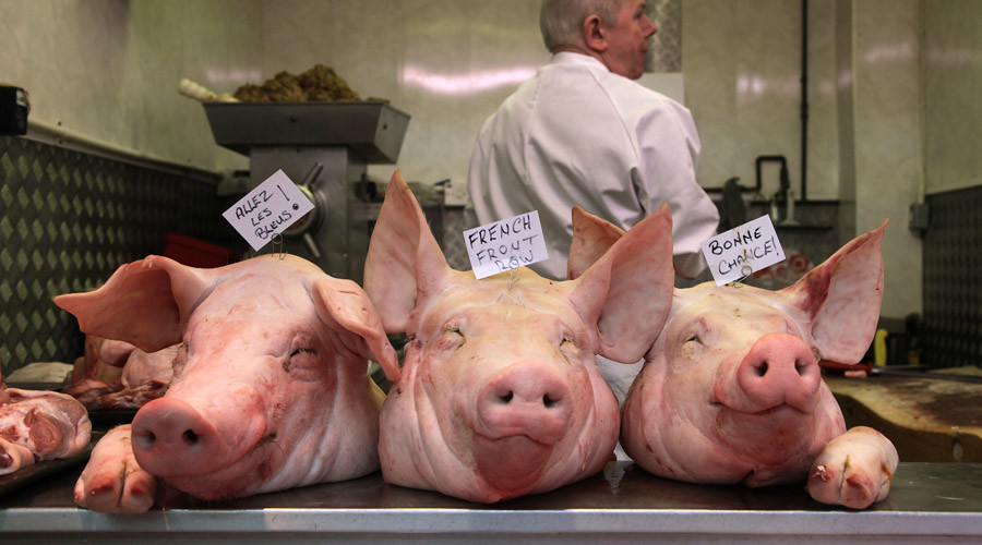 Pig heads dumped outside Muslim school in Lancashire treated as hate crime