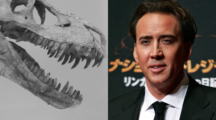 Stolen: Nicolas Cage to return $276k dino skull to Mongolia