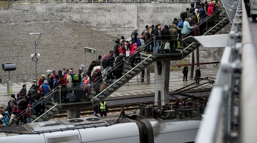 Dead end: Swedish railway operator suspends trains from Denmark over inability to check IDs