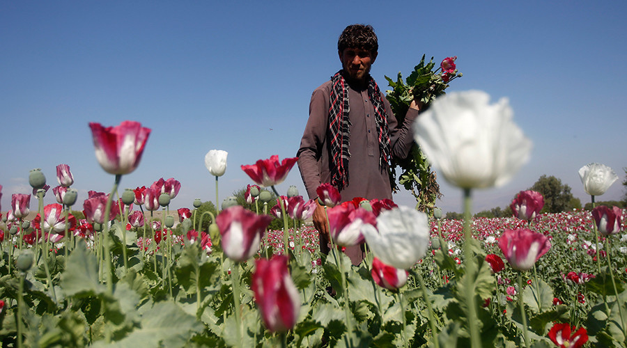‘Turkey’s porous border lets ISIS & Taliban profit from heroin trade’
