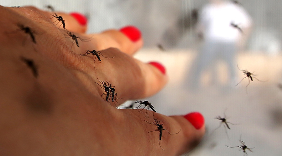 ‘Don’t get pregnant,’ Brazilians urged as 2,700 born with brain damage linked to virus