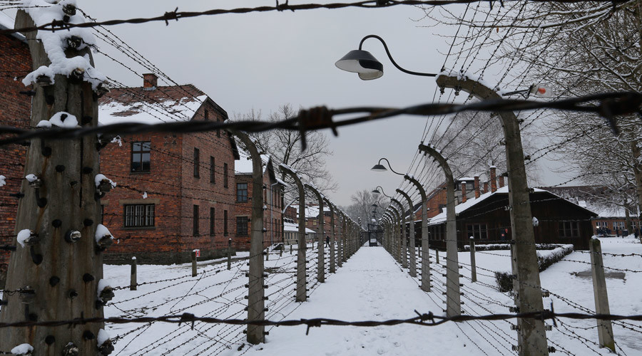 British boys accused of stealing Auschwitz artifacts ‘could face 10yrs in jail’