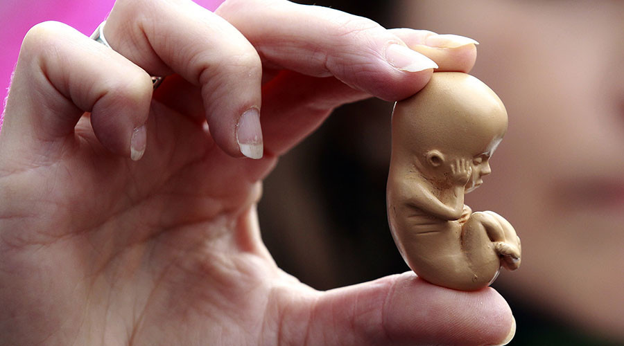 ‘Maybe I'll wear a fetus’: Trump spokesperson threatens controversial TV attire