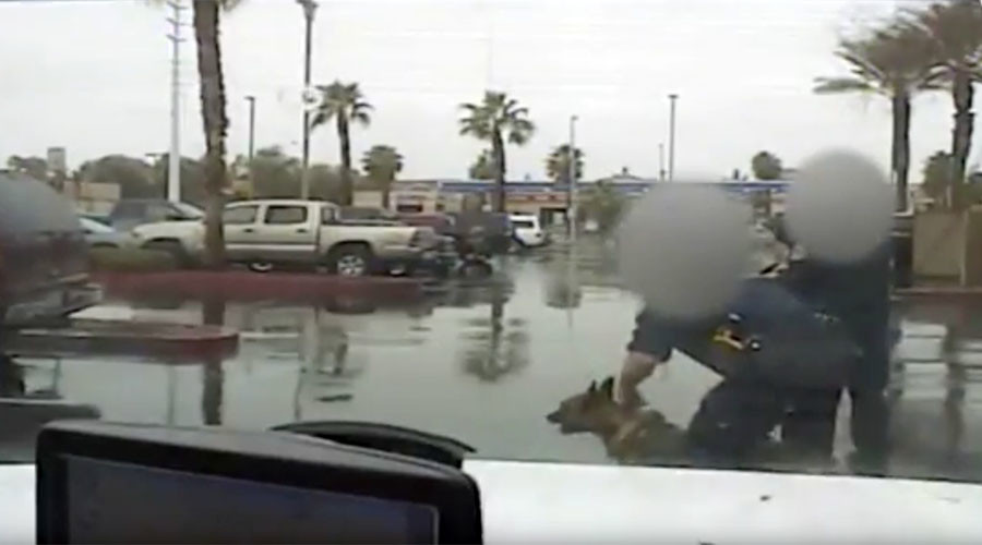 Dashcam video shows police injure infant with K-9, detain wrong man