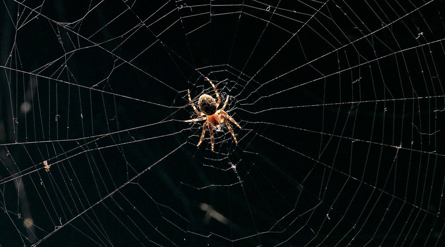 George Orweb: Spiders blamed for blocking CCTV cameras