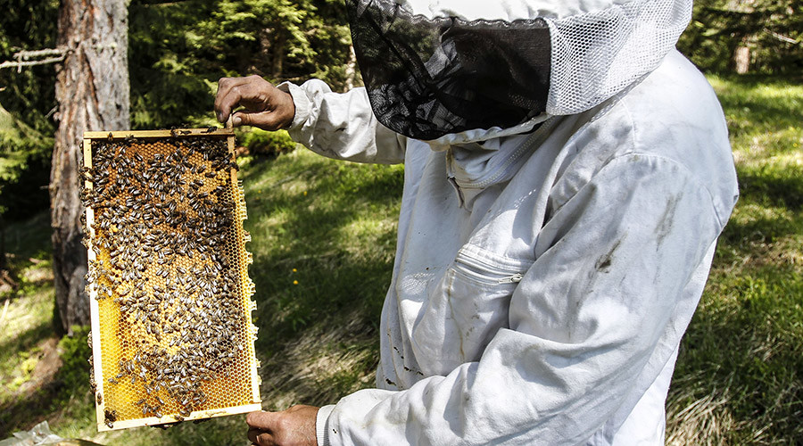 EPA admits popular insecticide threatens honeybees