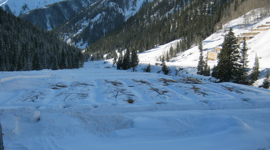 Teeth on forehead? Deformed mountain lion baffles Idaho wildlife officials