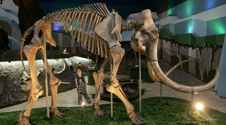 Mammoth hunt shows humans active in Arctic 45,000yrs ago – Russian scientists