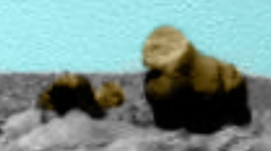 Mars: ‘Alien bear and cub’ identified in latest red planet 'discovery' (VIDEO)
