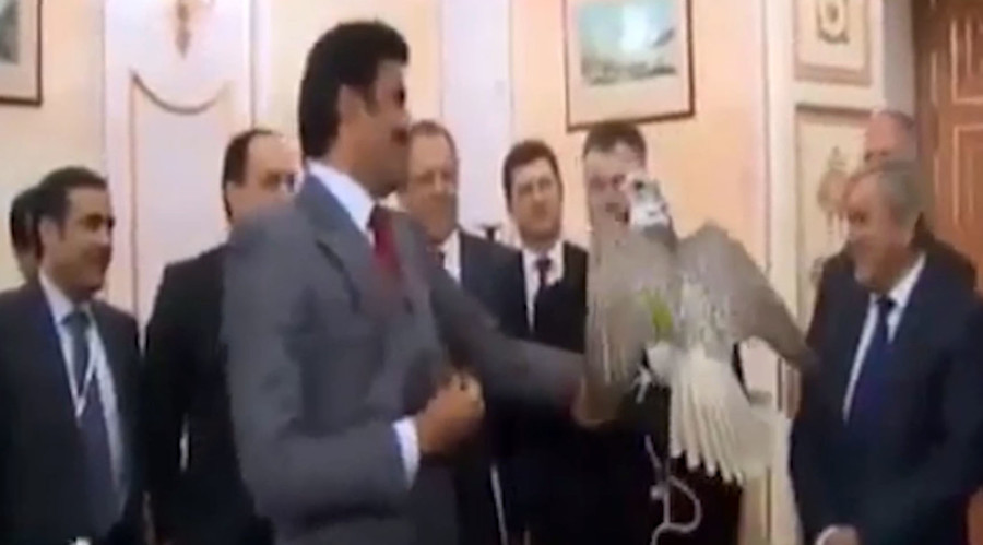 Feather diplomacy: Putin gifts falcon to visiting Emir of Qatar (VIDEO)